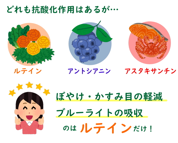 ルテインが一番