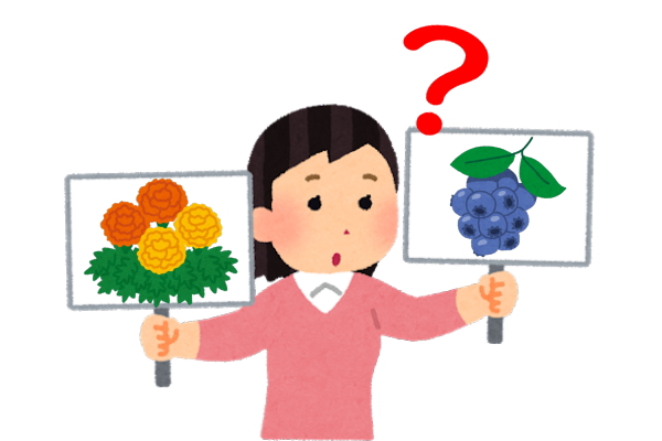 ブルーベリーは?