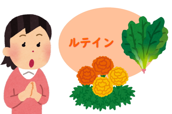 ルテイン
